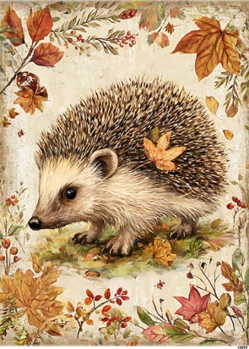 Papier ryżowy do decoupage A5 Jesienny jeż 13875