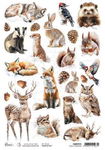 Papier ryżowy do decoupage A4 Forest Tale Forest Companions CBRP570 Ciao Bella