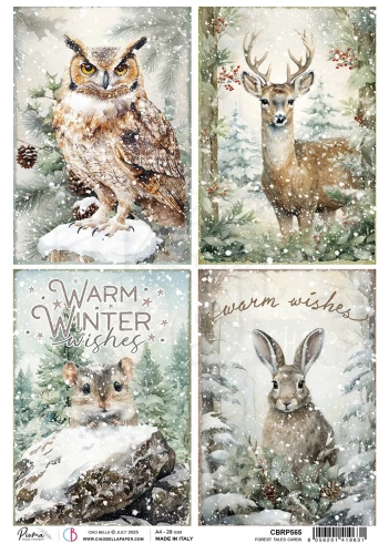 Papier ryżowy do decoupage A4 Forest Tale Cards CBRP565 Ciao Bella