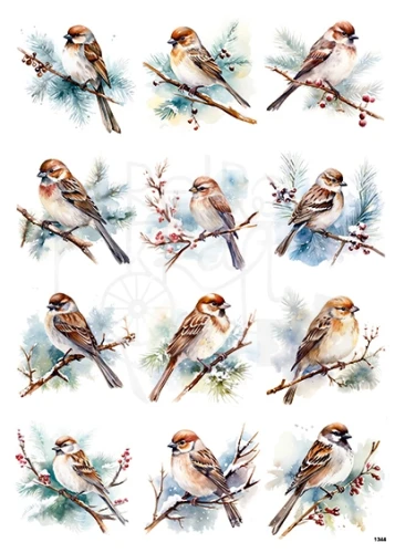Papier ryżowy do decoupage A4 Zimowe ptaki wróble 1344