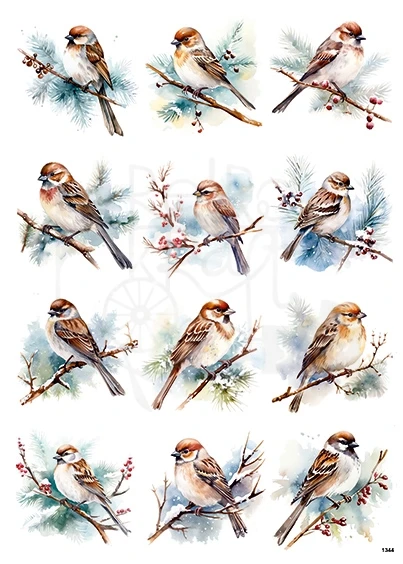 Papier ryżowy do decoupage A4 Zimowe ptaki wróble 1344