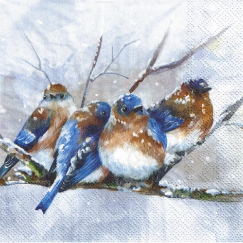 Serwetka 33x33 - Niebieskie zimowe ptaszki