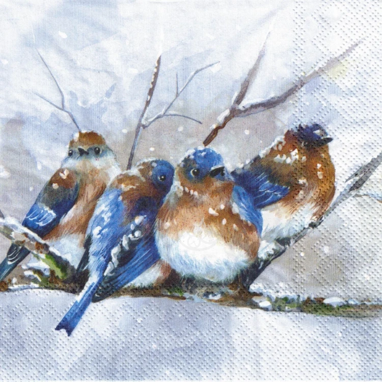 Serwetka 33x33 - Niebieskie zimowe ptaszki