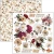 Zestaw papierów do scrapbookingu 15x15 Book Lovers CBQE091 24 arkusze Ciao Bella