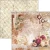 Zestaw papierów do scrapbookingu 30x30 Book Lovers CBPM091 12 arkuszy Ciao Bella