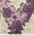 Zestaw papierów do scrapbookingu 30x30 Plum &amp; Caramel CC-C80-PC-00 Craft O'Clock