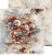 Zestaw papierów do scrapbookingu 30x30 Timeless Grace CC-C81-TG-00 Craft O'Clock