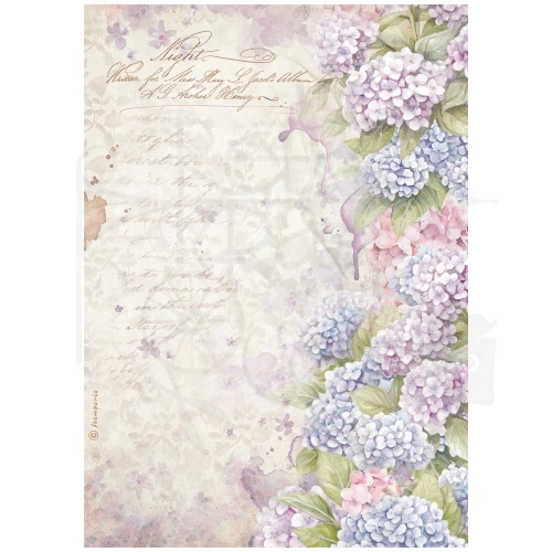 Papier ryżowy do decoupage A4 Quiet Days Hortensja DFSA41076 Stamperia