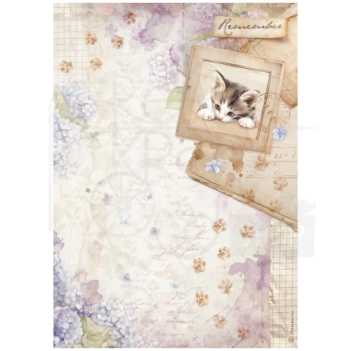 Papier ryżowy do decoupage A4 Quiet Days Kiciuś DFSA41072 Stamperia