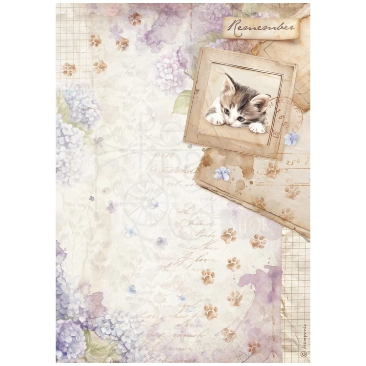 Papier ryżowy do decoupage A4 Quiet Days Kiciuś DFSA41072 Stamperia