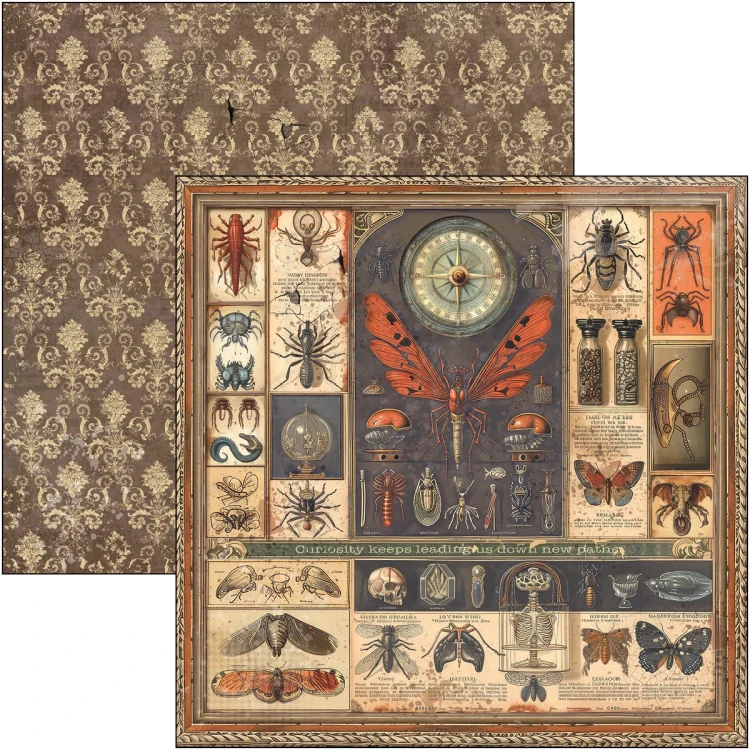 Zestaw papierów do scrapbookingu 30x30 Cabinet of Curiosities 12 arkuszy CBPM085 Ciao Bella