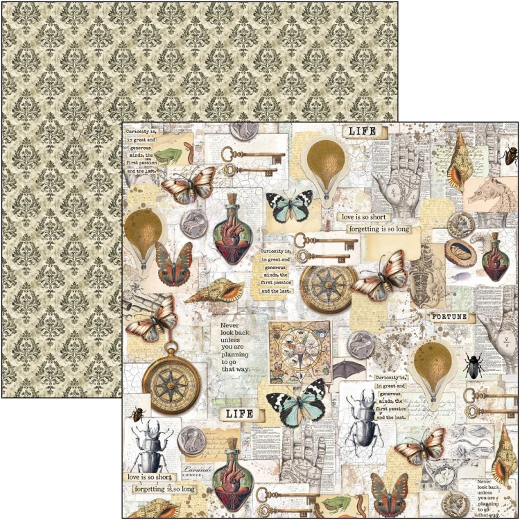 Zestaw papierów do scrapbookingu 30x30 Cabinet of Curiosities 12 arkuszy CBPM085 Ciao Bella