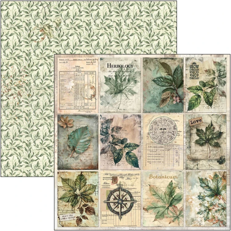 Zestaw papierów do scrapbookingu 30x30 Cabinet of Curiosities 12 arkuszy CBPM085 Ciao Bella