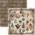 Zestaw papierów do scrapbookingu 30x30 Cabinet of Curiosities 12 arkuszy CBPM085 Ciao Bella