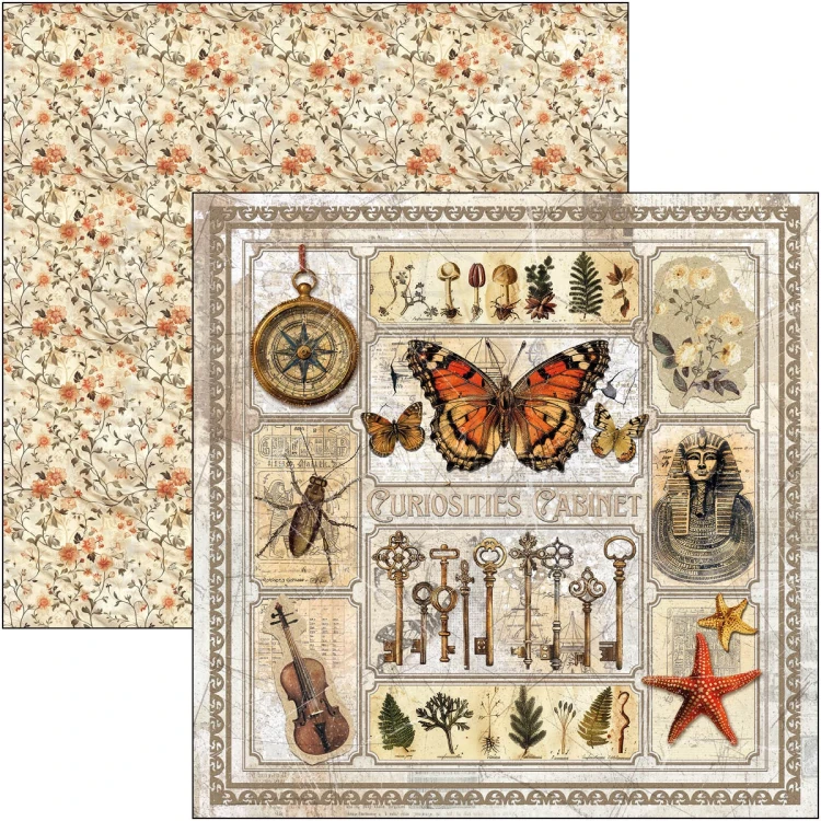 Zestaw papierów do scrapbookingu 30x30 Cabinet of Curiosities 12 arkuszy CBPM085 Ciao Bella