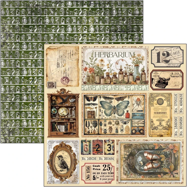Zestaw papierów do scrapbookingu 30x30 Cabinet of Curiosities 12 arkuszy CBPM085 Ciao Bella