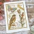 Stempel akrylowy Natura FRS1033 Woodware