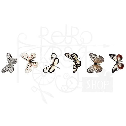 Naklejki foliowe na rolce Butterfly Grunge Collection SL-GR-STIC54 Studio Light