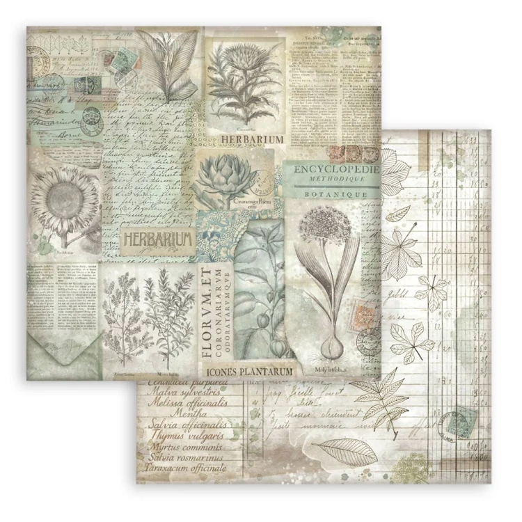 Zestaw papierów do scrapbookingu 20x20 Herbarium Silvae Tła SBBS136 Stamperia