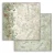 Zestaw papierów do scrapbookingu 20x20 Herbarium Silvae Tła SBBS136 Stamperia