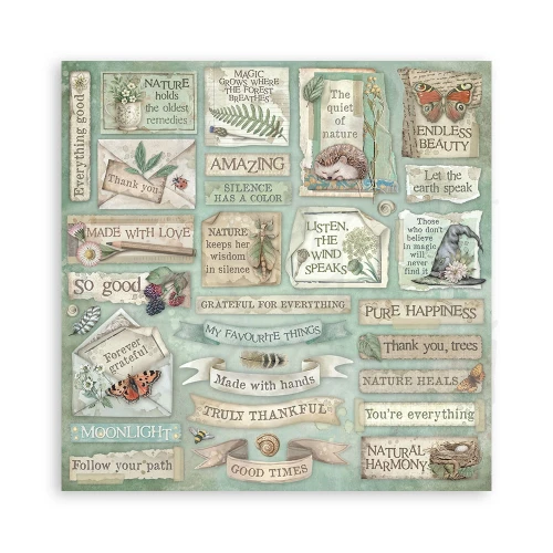 Zestaw papierów do scrapbookingu 20x20 Herbarium Silvae SBBS135 Stamperia