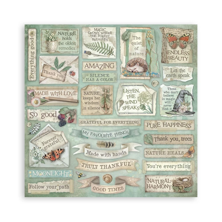 Zestaw papierów do scrapbookingu 20x20 Herbarium Silvae SBBS135 Stamperia