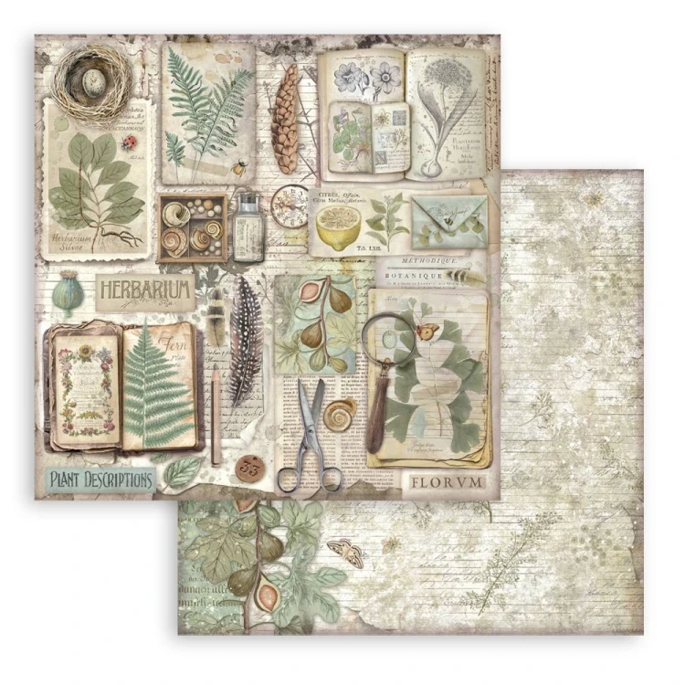 Zestaw papierów do scrapbookingu 20x20 Herbarium Silvae SBBS135 Stamperia