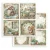 Zestaw papierów do scrapbookingu 20x20 Herbarium Silvae SBBS135 Stamperia