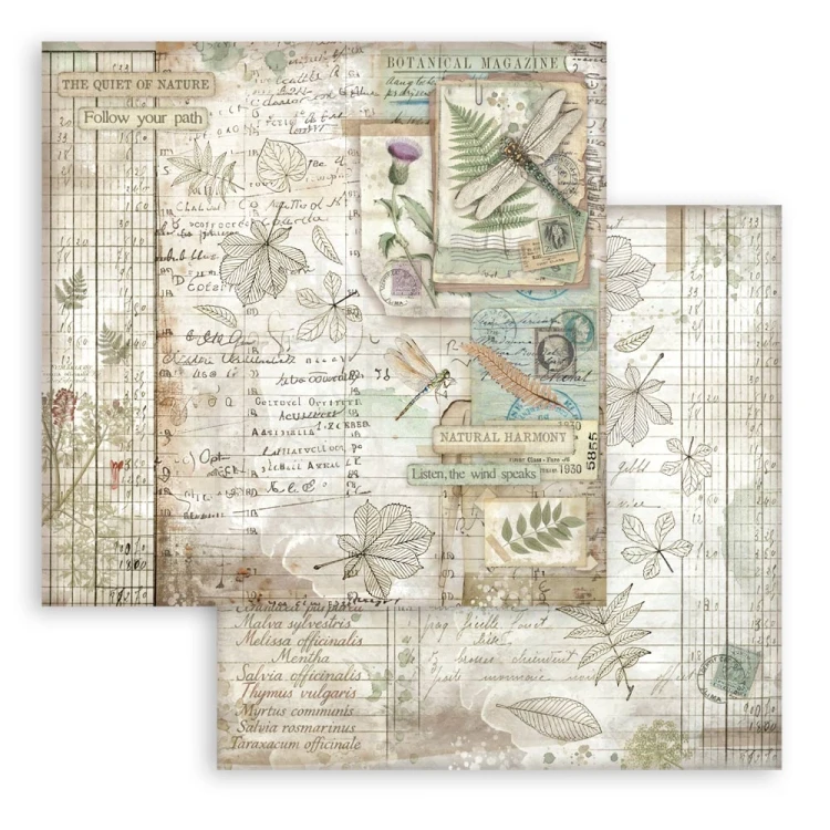Zestaw papierów do scrapbookingu 20x20 Herbarium Silvae SBBS135 Stamperia