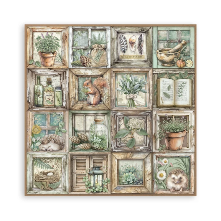 Zestaw papierów jednostronnych do scrapbookingu 20x20 Herbarium Silvae 22 arkusze SBBSXB20 Stamperia