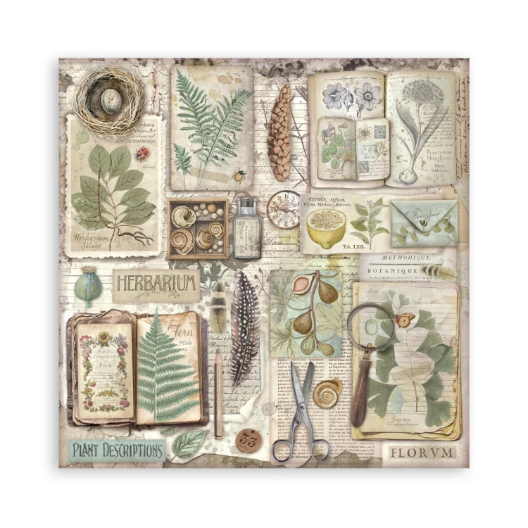 Zestaw papierów jednostronnych do scrapbookingu 20x20 Herbarium Silvae 22 arkusze SBBSXB20 Stamperia