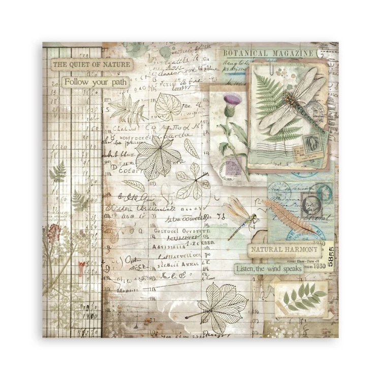 Zestaw papierów jednostronnych do scrapbookingu 20x20 Herbarium Silvae 22 arkusze SBBSXB20 Stamperia