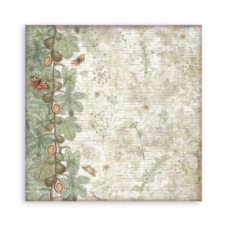 Zestaw papierów jednostronnych do scrapbookingu 20x20 Herbarium Silvae 22 arkusze SBBSXB20 Stamperia