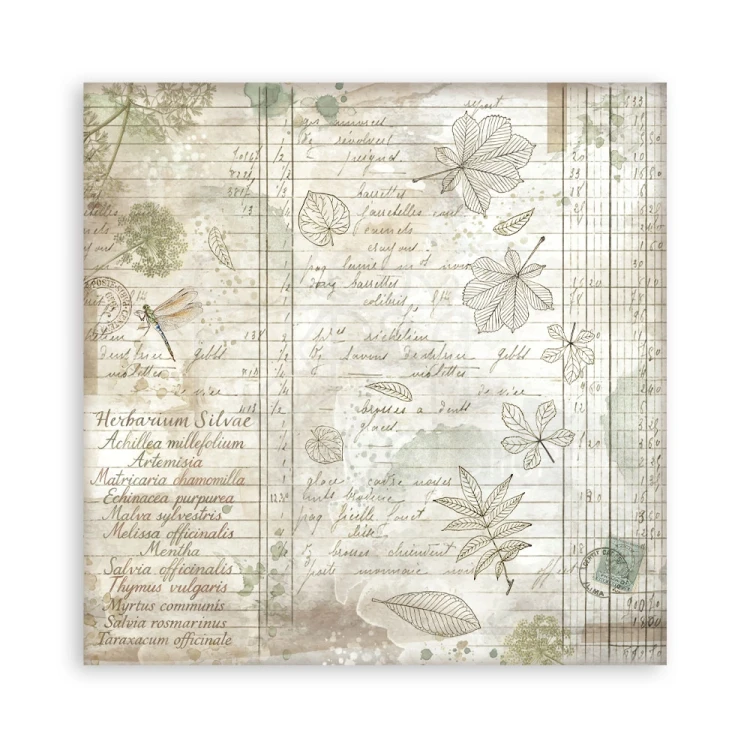 Zestaw papierów jednostronnych do scrapbookingu 20x20 Herbarium Silvae 22 arkusze SBBSXB20 Stamperia