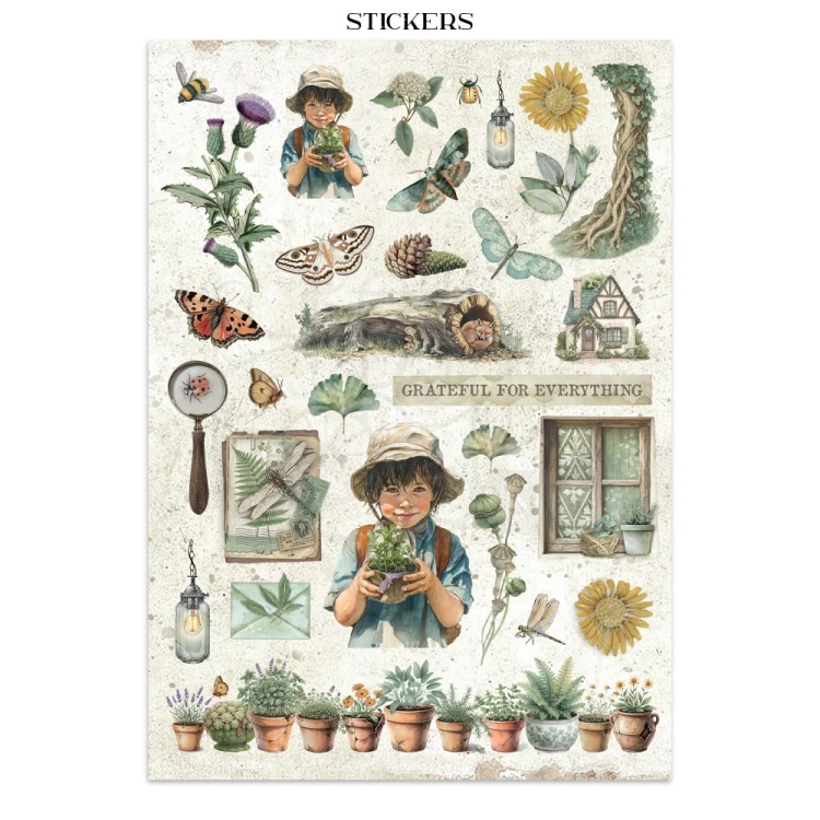 Junk Journal Herbarium Silvae 16 kart SBJK09 Stamperia
