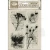 Stempel akrylowy 14x18cm Herbarium Silvae Botanika WTK231 Stamperia