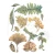 Foremka silikonowa A5 Herbarium Silvae Botanik KACMA597 Stamperia