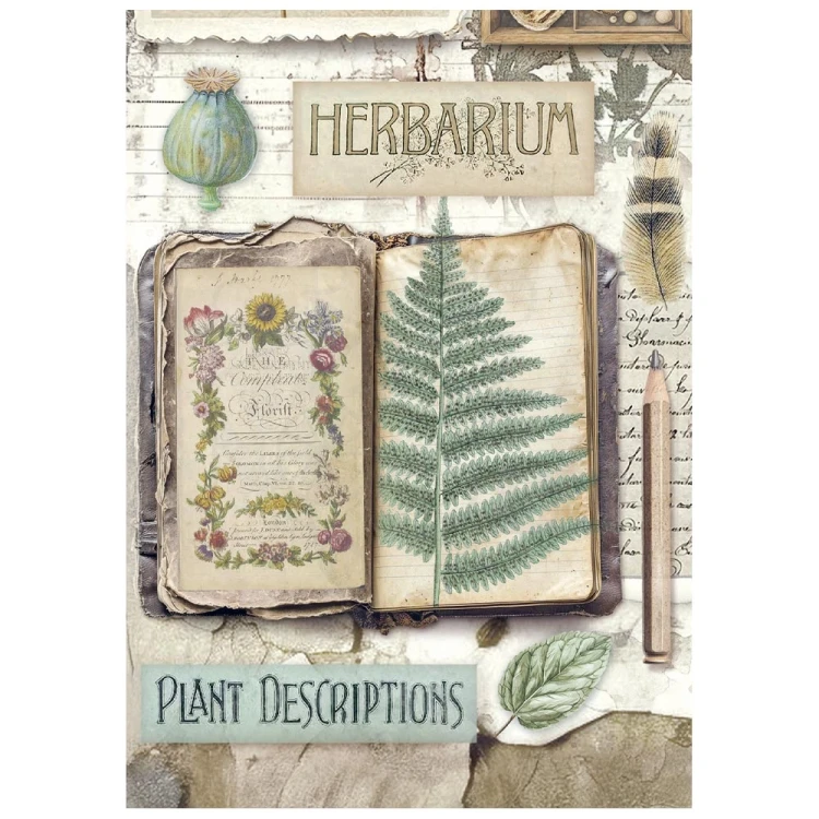 Papier ryżowy A6 Herbarium Silvae 8szt DFSA6X02 Stamperia