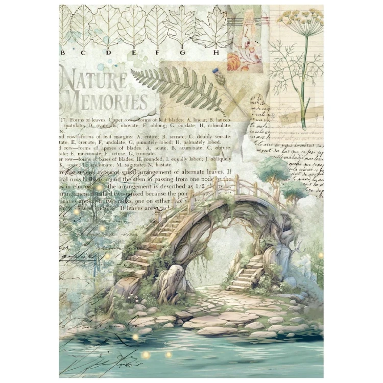 Papier ryżowy A6 Herbarium Silvae 8szt DFSA6X02 Stamperia