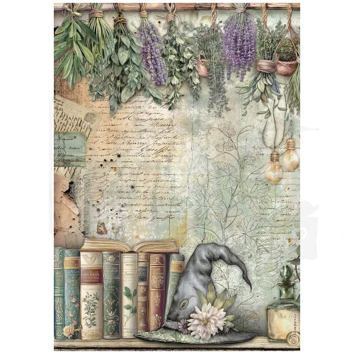 Papier ryżowy do decoupage A4 Herbarium Silvae Książki DFSA41081 Stamperia