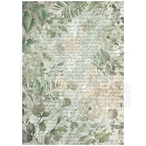 Papier ryżowy do decoupage A4 Herbarium Silvae Tło liściaste DFSA41080 Stamperia