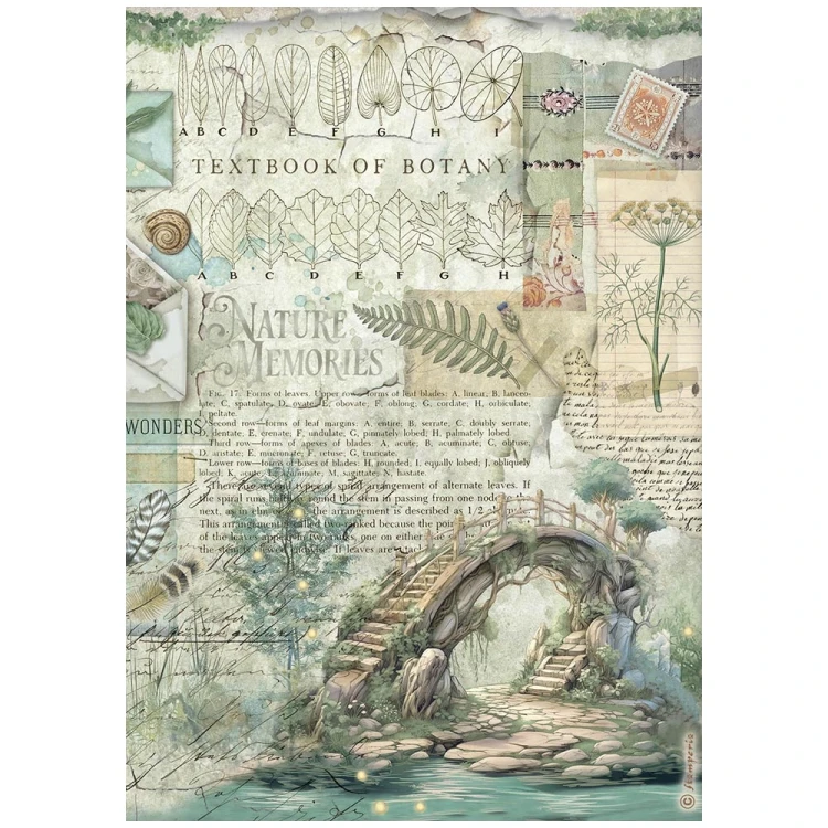 Papier ryżowy do decoupage A4 Herbarium Silvae Mostek DFSA41079 Stamperia