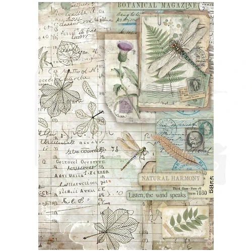 Papier ryżowy do decoupage A4 Herbarium Silvae Botanika DFSA41078 Stamperia