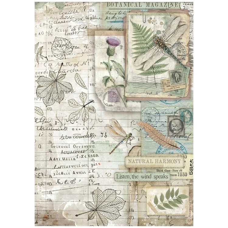 Papier ryżowy do decoupage A4 Herbarium Silvae Botanika DFSA41078 Stamperia