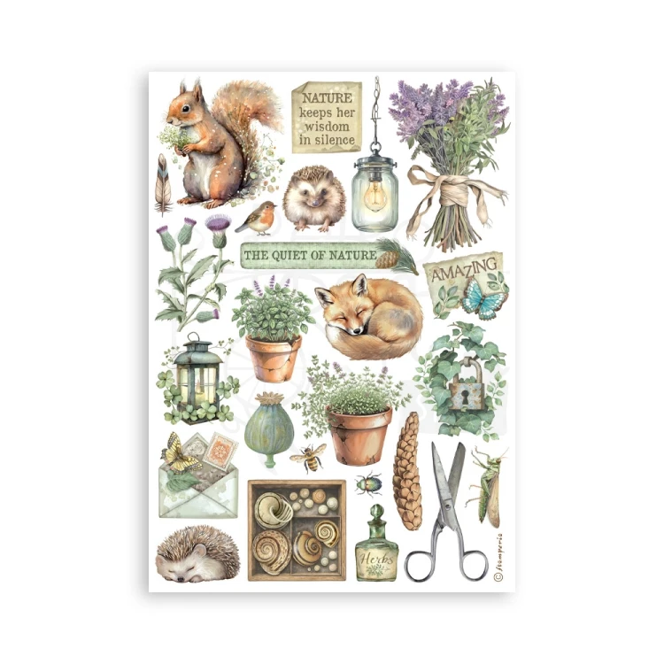 Papier washi A5 Herbarium Silvae 8 arkuszy SBW27 Stamperia