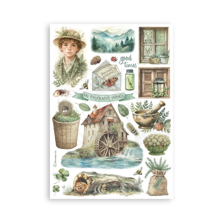 Papier washi A5 Herbarium Silvae 8 arkuszy SBW27 Stamperia