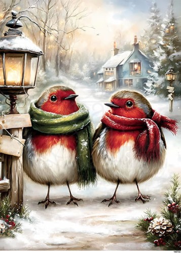 Papier ryżowy do decoupage A5 Zimowe ptaszki 14773
