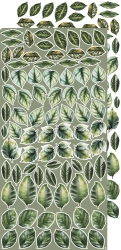 Zestaw dodatków 15x30 Creative Extras - 07 - Leaves #1 CC-CEX-07 Craft O'Clock