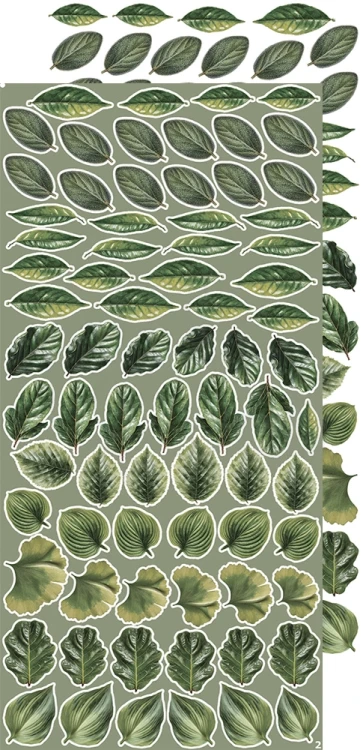 Zestaw dodatków 15x30 Creative Extras - 07 - Leaves #1 CC-CEX-07 Craft O'Clock