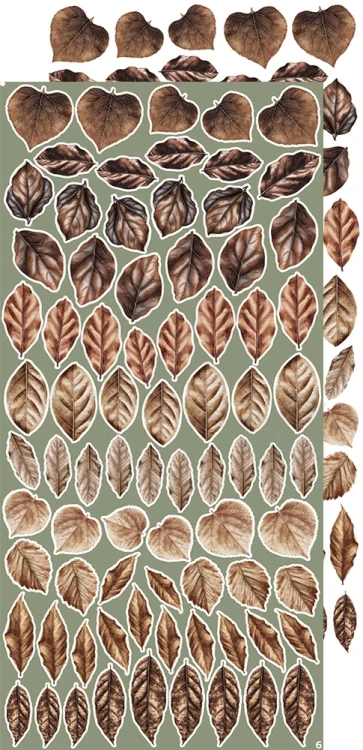 Zestaw dodatków 15x30 Creative Extras - 07 - Leaves #1 CC-CEX-07 Craft O'Clock